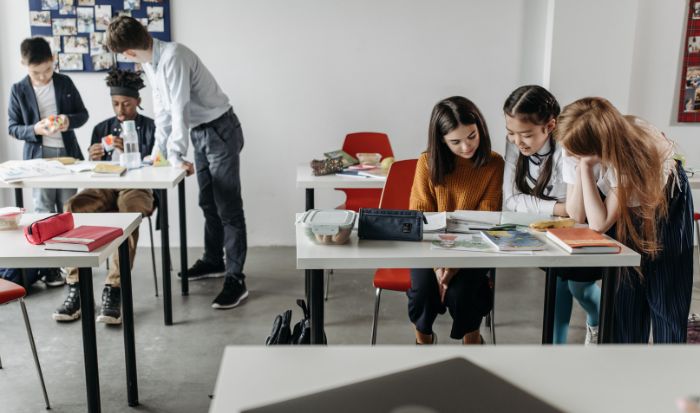 Pellentesque habitant morbi