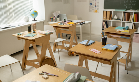 Praesent egestas neque